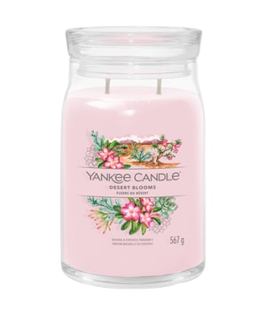 Yankee Candle Desert Blooms Signature Jar Duftkerze 567 g