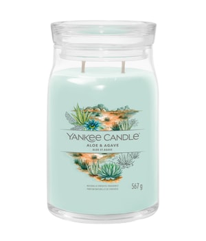 Yankee Candle Aloe & Agave Signature Jar Duftkerze 567 g